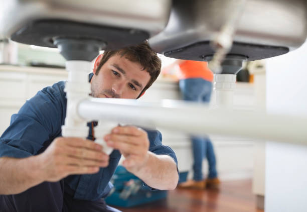 Best Local Plumber Services  in Anoka, MN
