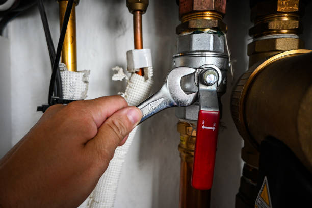 Best Affordable Plumbing Services  in Anoka, MN